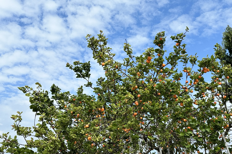 “飛揚(yáng)青春，快樂(lè)出發(fā)”——四川德潤(rùn)信息工程有限公司2023夏季主題團(tuán)建活動(dòng)